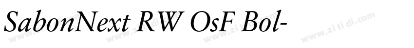 SabonNext RW OsF Bol字体转换 SabonNext RW OsF Bol字体转换